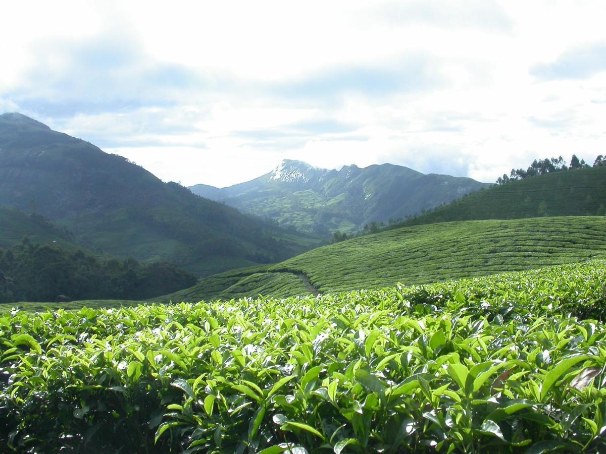 AnachalMistica Munnar公寓 外观 照片